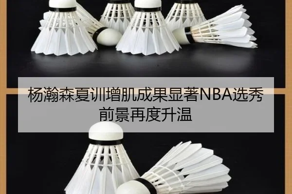 杨瀚森夏训增肌成果显著NBA选秀前景再度升温